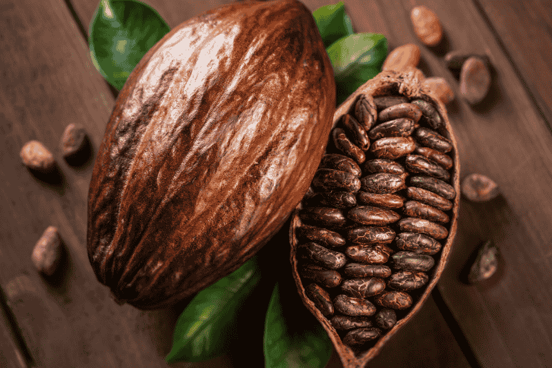 ทำไมโกโก้ถึงเป็นอาหารเสริมที่ดีสำหรับสุขภาพสมอง?