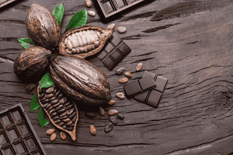 ประโยชน์ของโกโก้ต่อสุขภาพ : อาหารสุขภาพที่มีคุณค่ามากกว่าที่คิด
