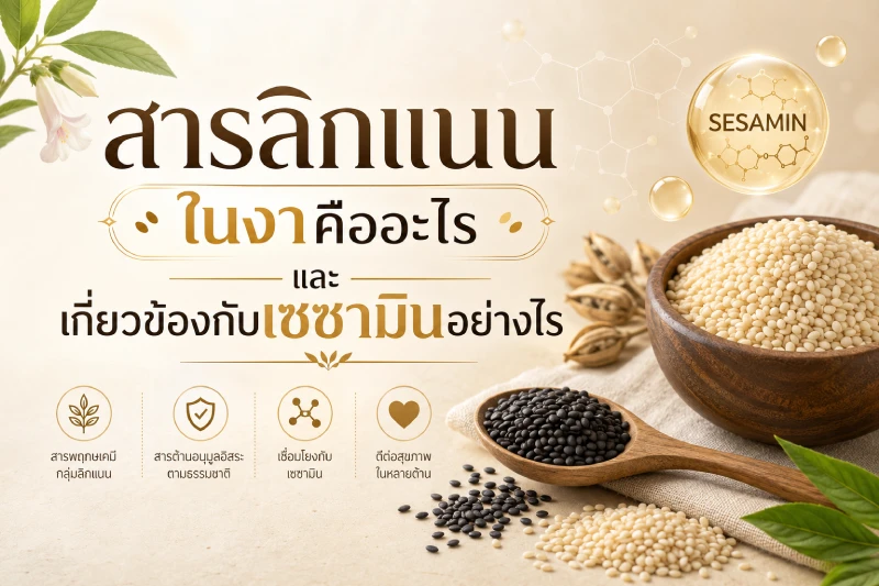 สารลิกแนนในงาคืออะไร และเกี่ยวข้องกับเซซามินอย่างไร